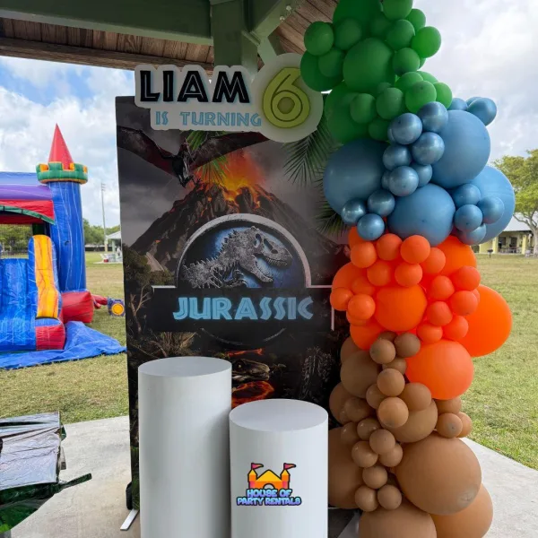 Jurassic Park Birthday Balloon Decoration Package