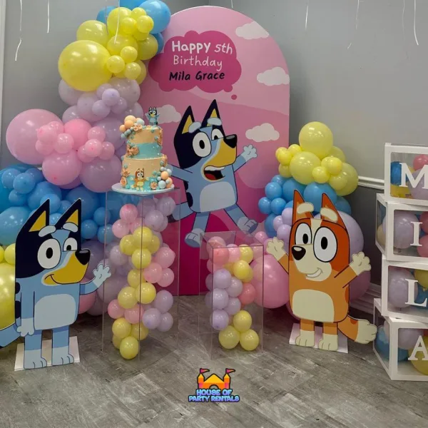 Bluey Birthday Balloon Decoration Package