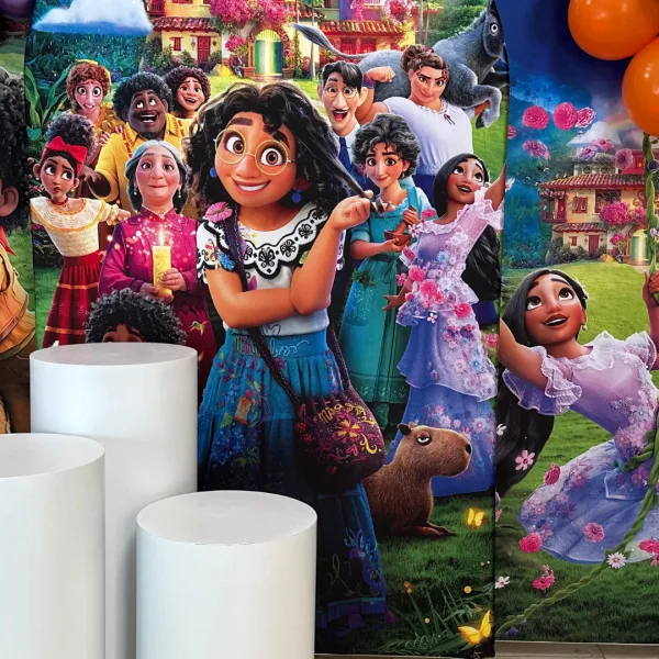Encanto Birthday Decoration 2