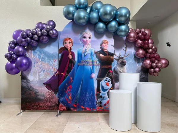 Frozen Team Birthday Decoration 2