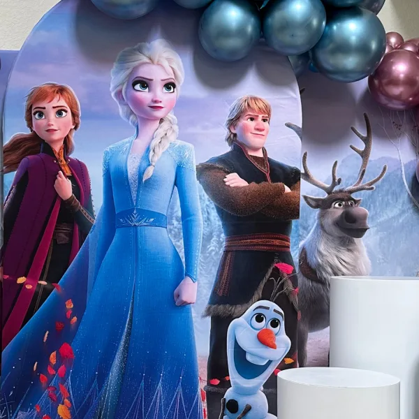 Frozen Team Birthday Decoration 3