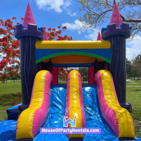 Pink Combo Castle Double Slide 2