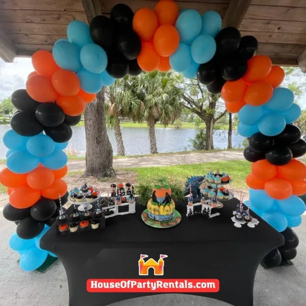 Basic Balloon Arch Decoration 2